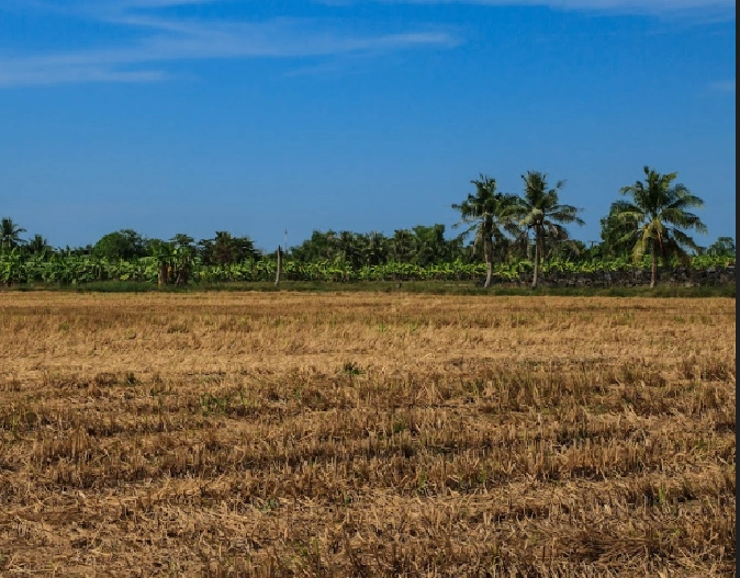 Jodmalakkha, Madhya Pradesh, India