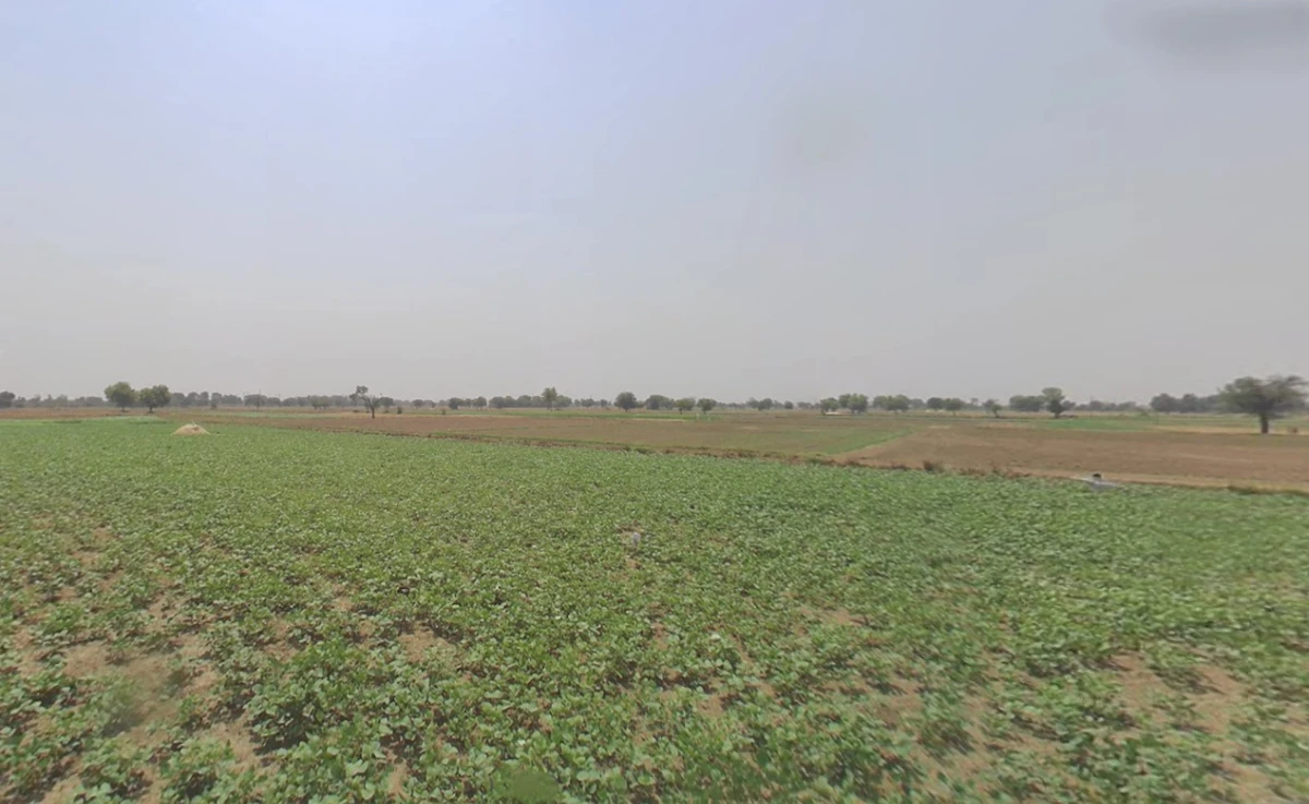Jatusana, Haryana, India