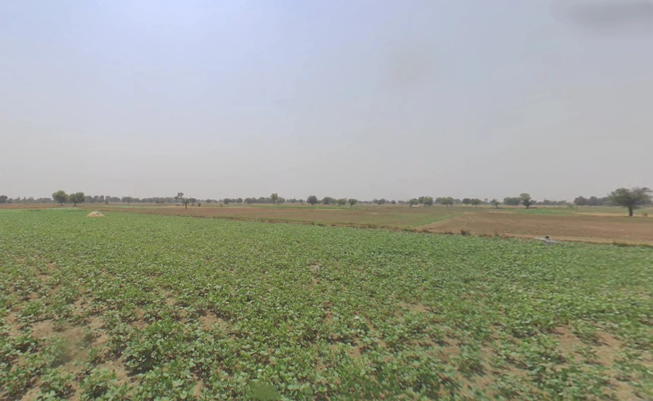 Jatusana, Haryana, India