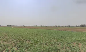Jatusana, Haryana, India preview 3
