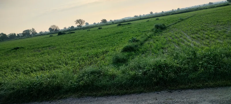 Deeg, Rajasthan 321203, India preview 3