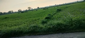 Deeg, Rajasthan 321203, India preview 3