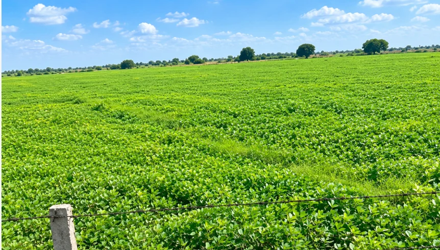 7595+JG2, Kota, Sultanpur, Rajasthan 325204, India