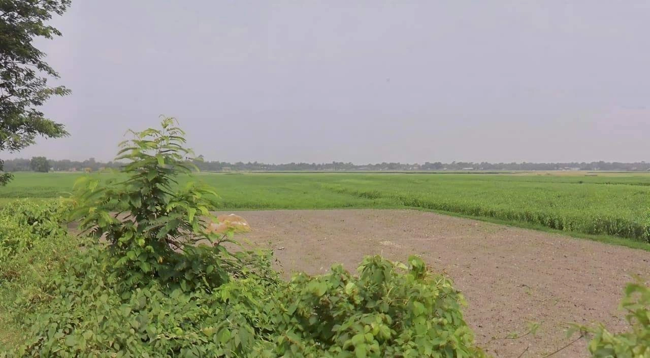 CG2W+MMW गौशाला, MDR 15, Searmau, Madhya Pradesh 470235, India