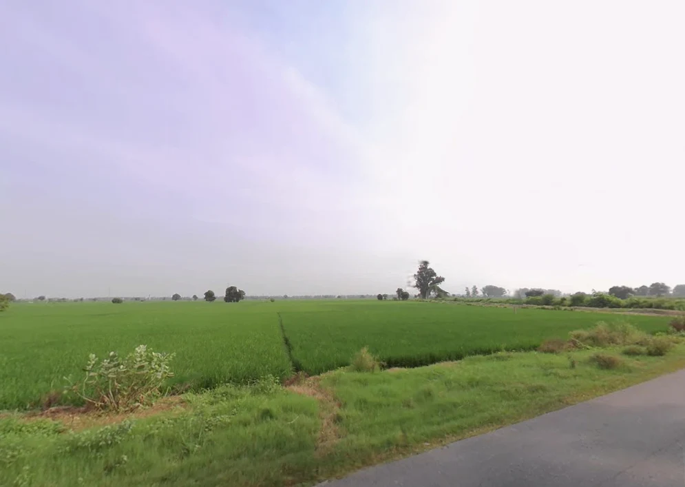 Kawi, Madlauda, Haryana 132113, India