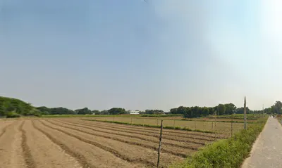 Nigohi, Uttar Pradesh 242407, India preview 2