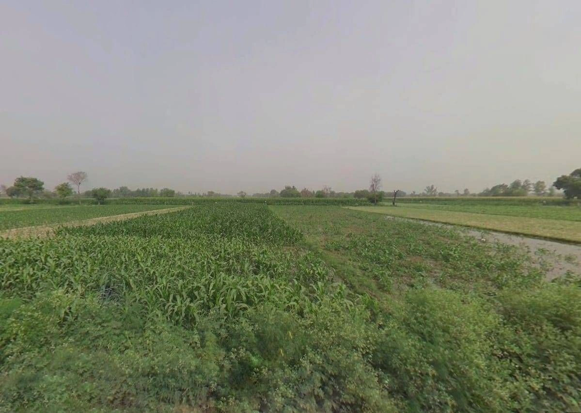 HPXX+86G, Kareeriya, Rajasthan 301028, India preview 3