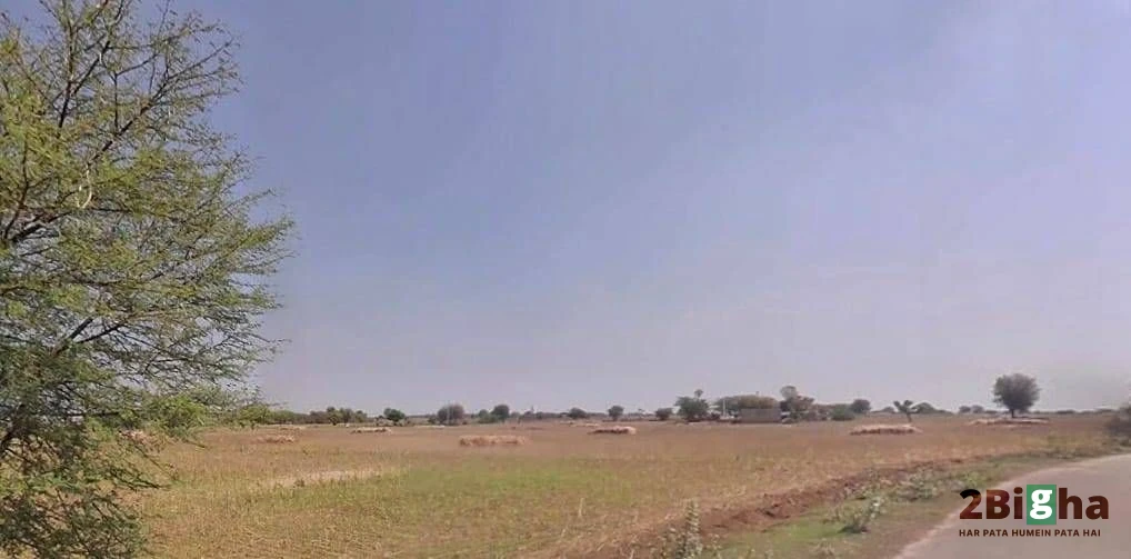 63FC+3C2, Baroda, Dantri, Rajasthan 305412, India