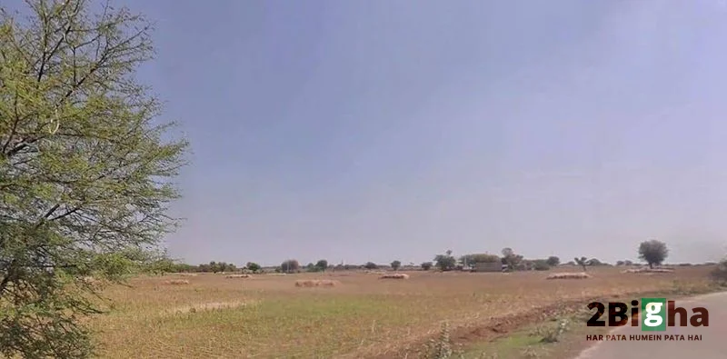 63FC+3C2, Baroda, Dantri, Rajasthan 305412, India preview 3