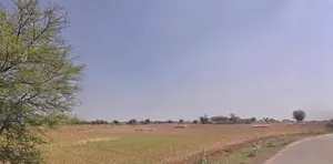 63FC+3C2, Baroda, Dantri, Rajasthan 305412, India preview 3