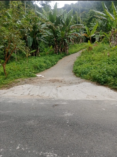 Mankulam, Kerala 685565, India