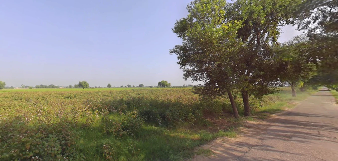 Pinjore, Haryana 134102, India