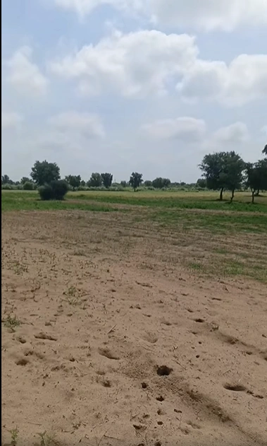 PPFQ+PFV, Mathura, Tentigaon, Uttar Pradesh 281202, India