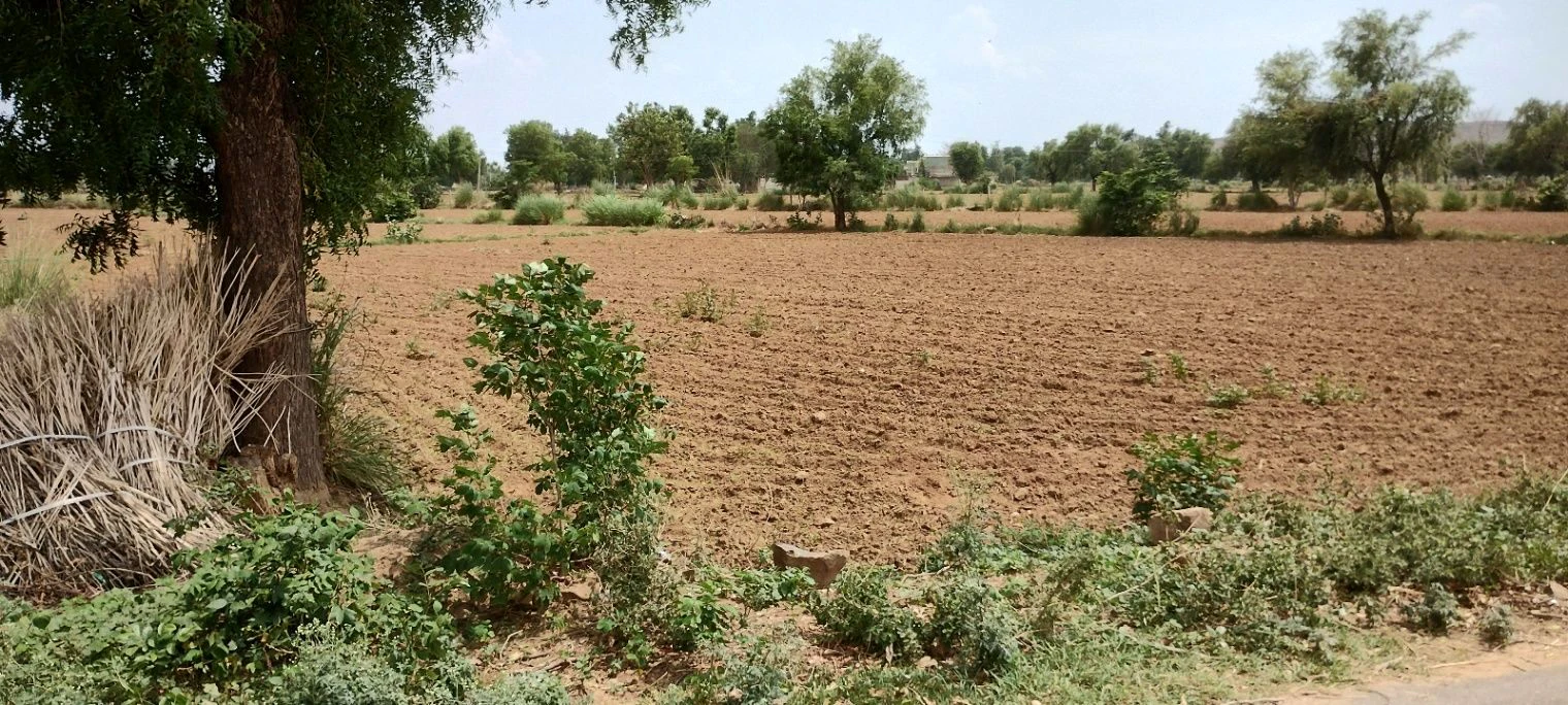 Ronpur, Rajasthan, India
