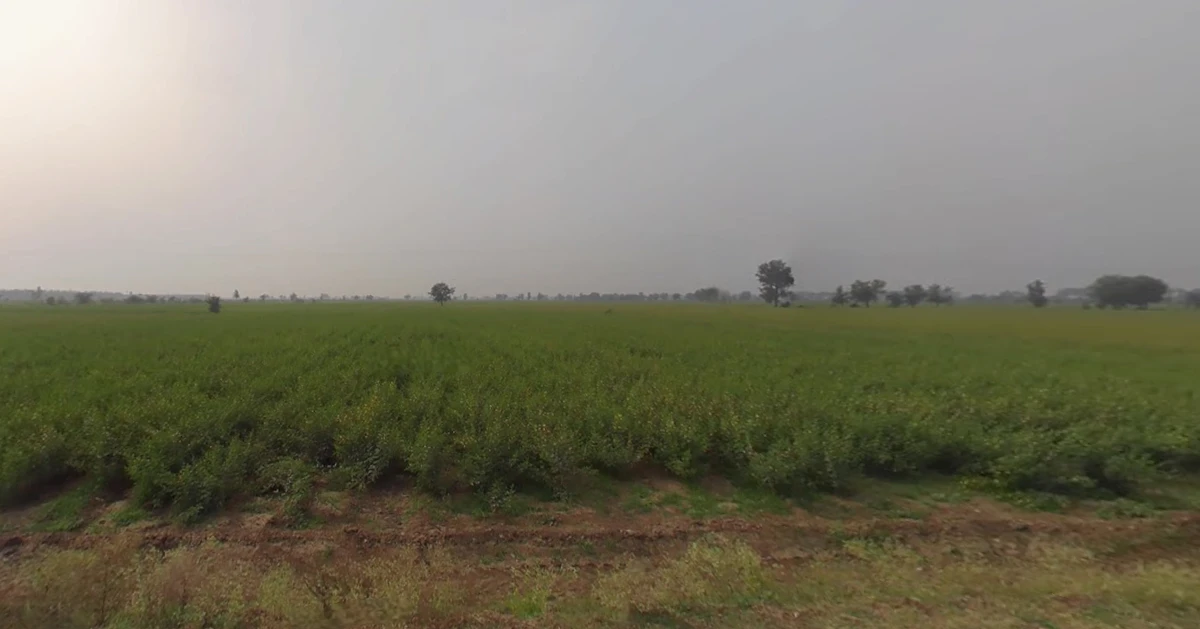 Lakadiya, Gujarat, India