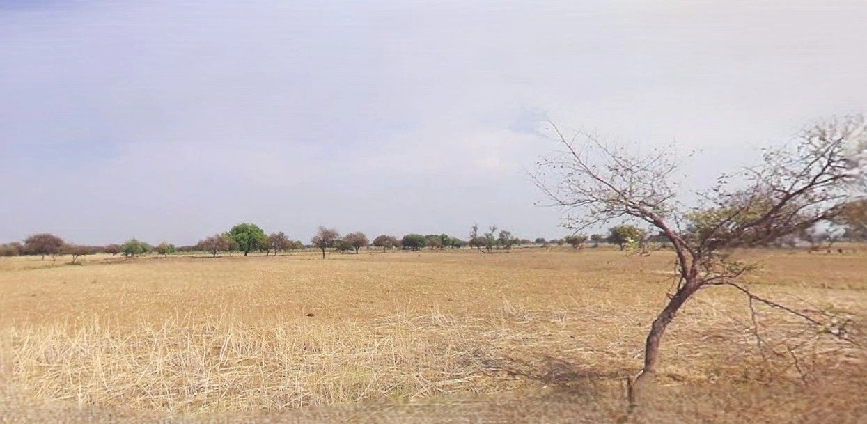 3W2Q+Q7X, Mazahidpur Satiwala Mazbata, Uttarakhand 247661, India preview 2