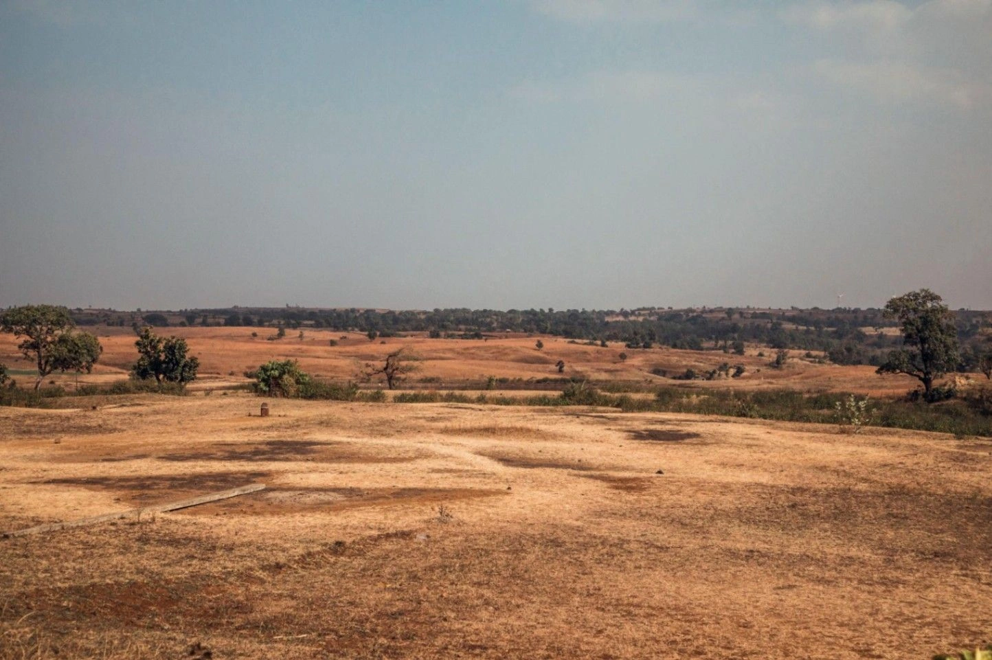 Walera, Rajasthan 343022, India