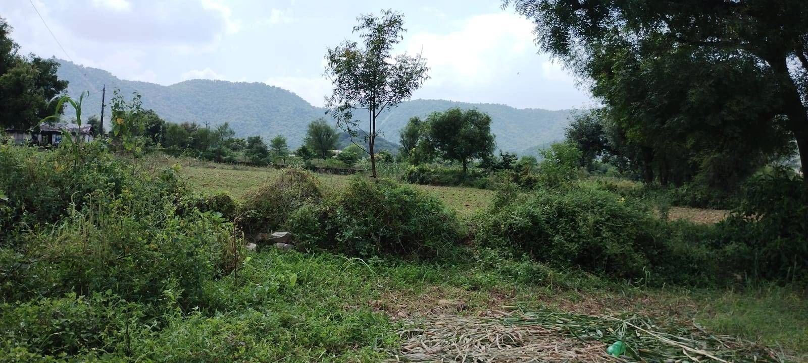 Palla Main Rd, Nuh, Haryana 122107, India