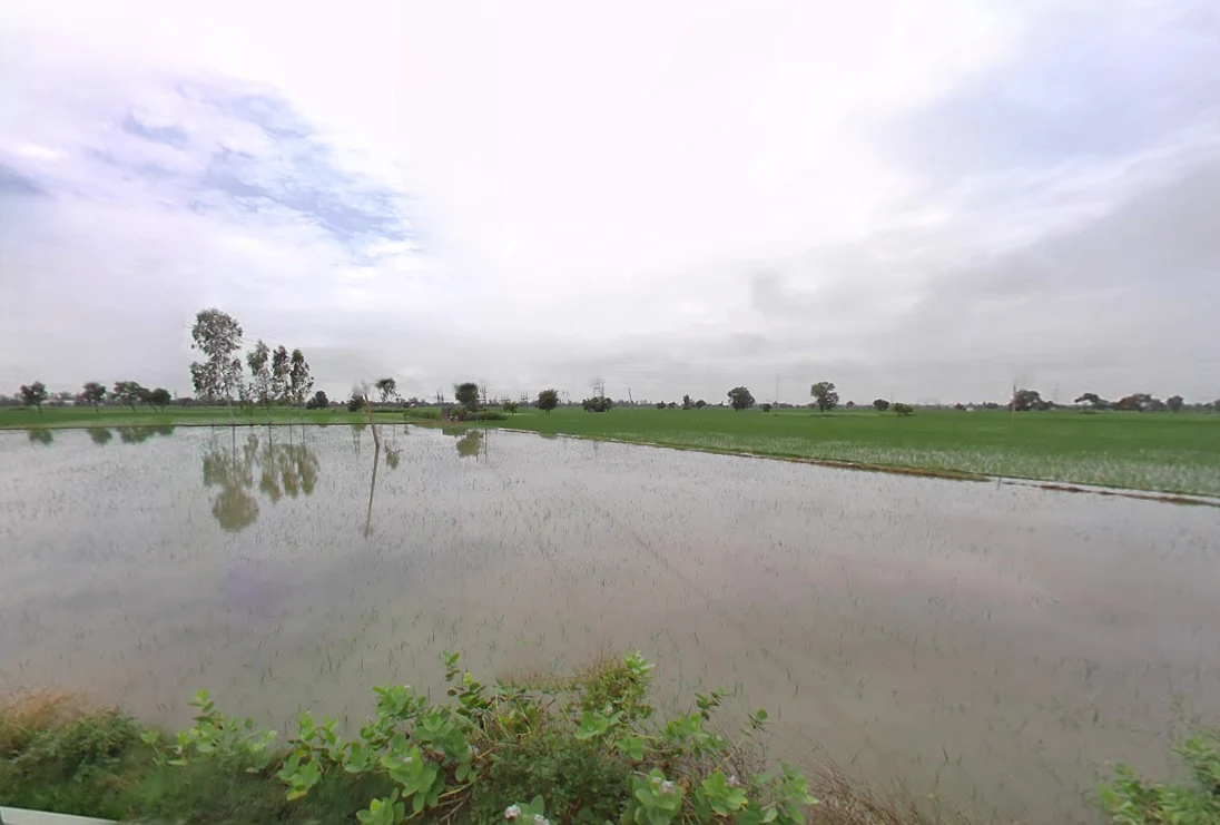 Hansu Majra, Haryana, India