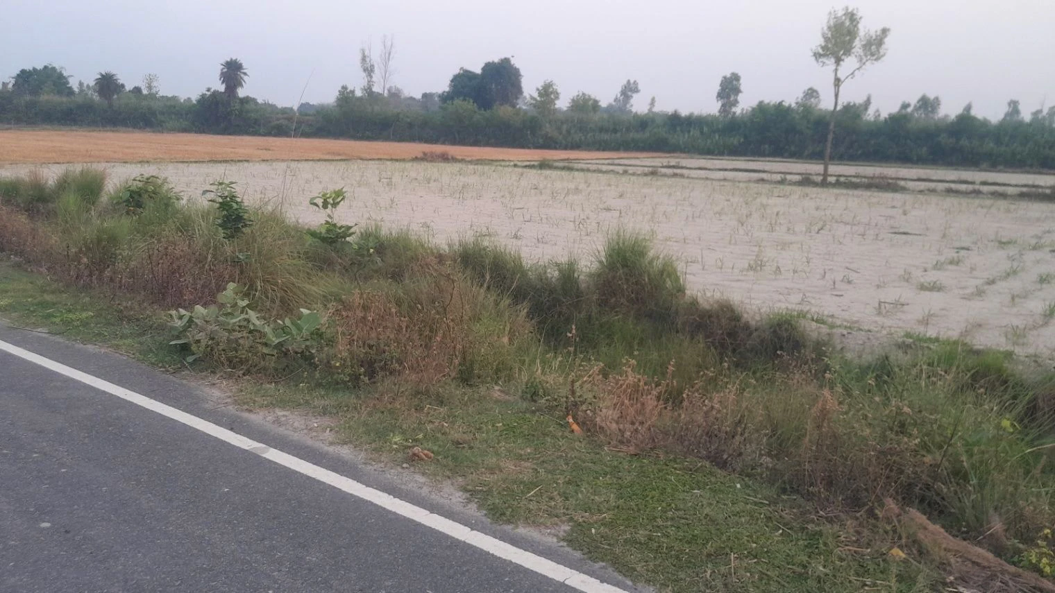 Misrana marg 2 Maushivla bajar, Masaudha, Uttar Pradesh 224001, India
