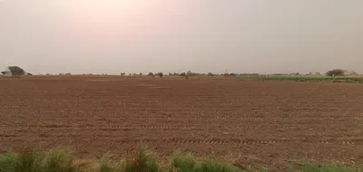 Bandar Seendri, Rajasthan, India preview 2