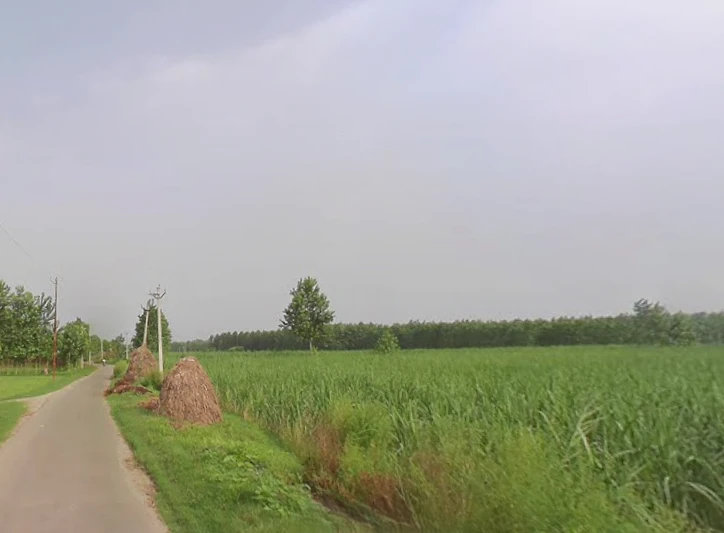 Sarsawa, Uttar Pradesh 247232, India
