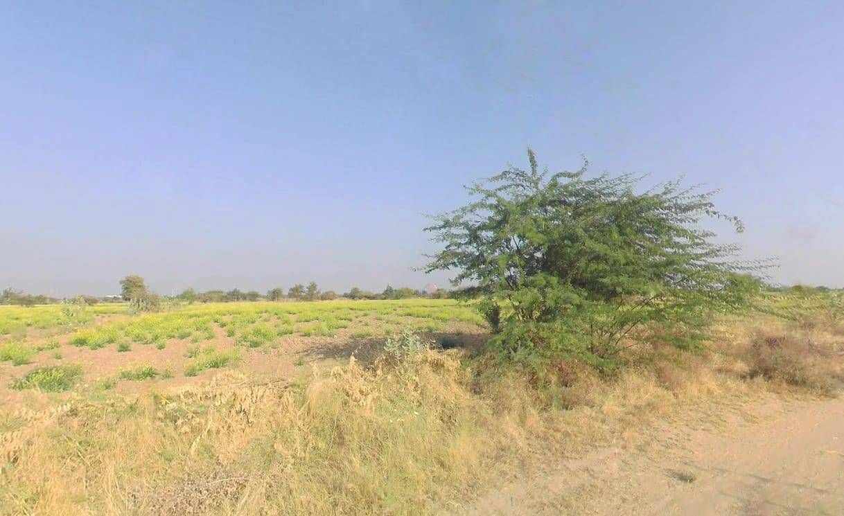 V5VM+67M, Bandai, Rajasthan 306421, India