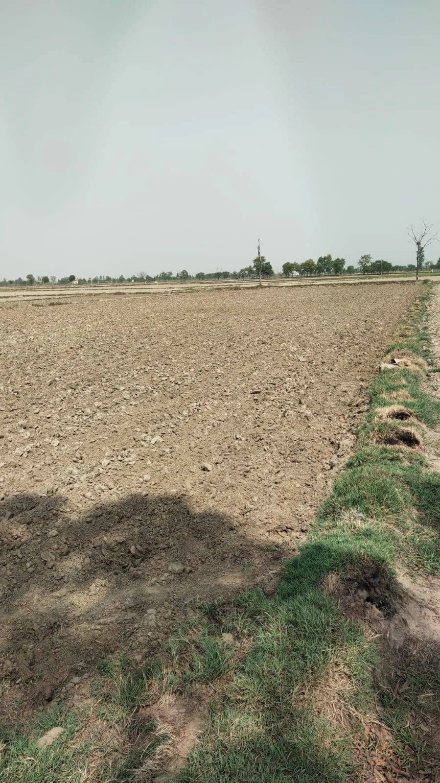 7FRQ+XR3, Bhindaulia, Uttar Pradesh 243123, India