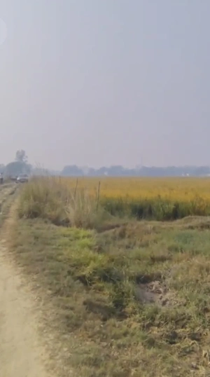 Raghunathpur, West Bengal 723133, India