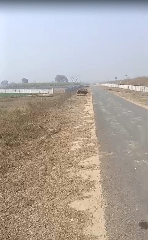 Madhapur Mozampur, Uttar Pradesh 245207, India