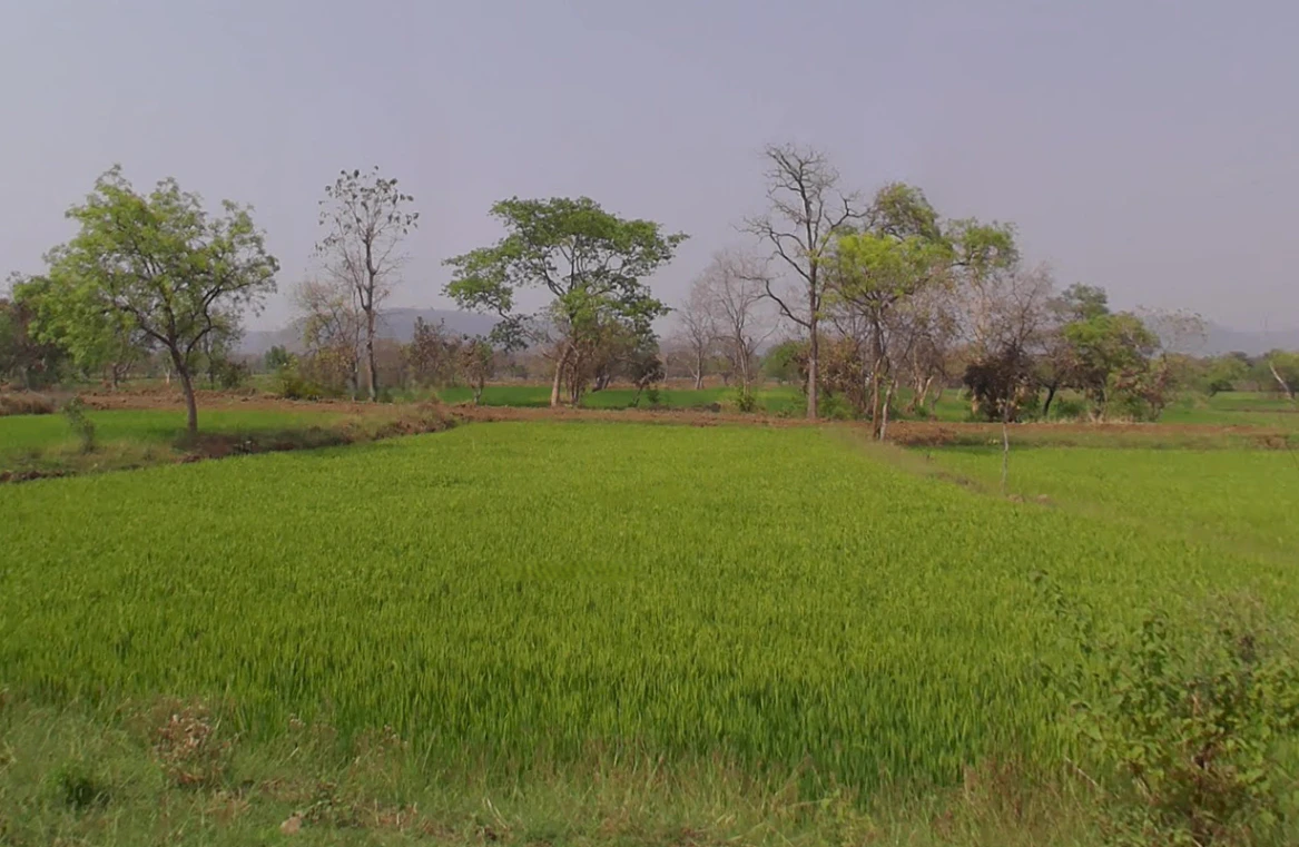 Kumhari-1, Chhattisgarh 493221, India