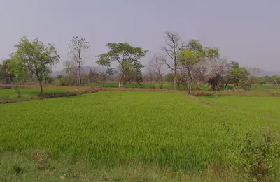 Kumhari-1, Chhattisgarh 493221, India preview 2