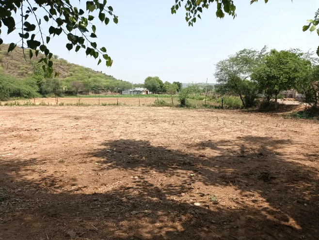 8QQ8+4GF, Khohra, Kajota, Rajasthan 321633, India