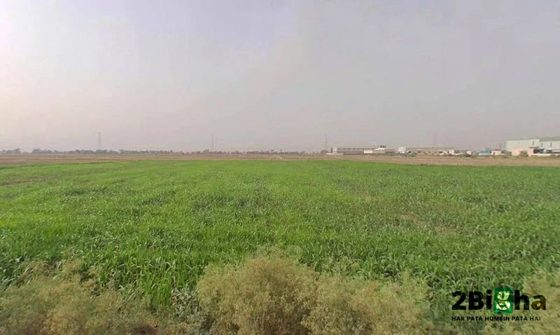 Faridpur, Haryana 125103, India preview 2