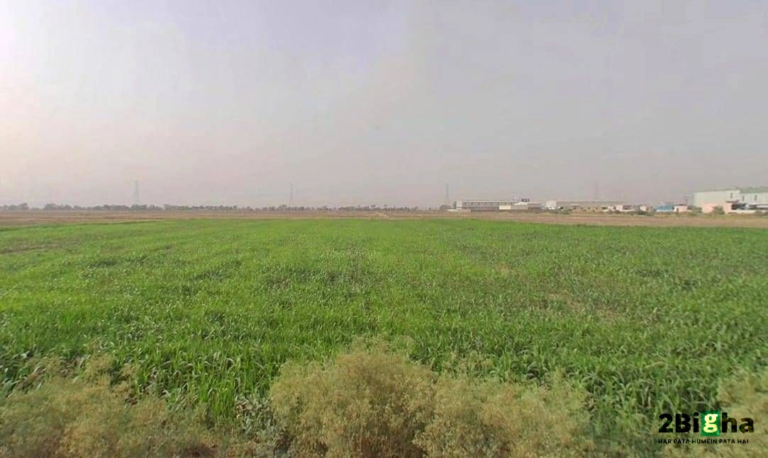 Faridpur, Haryana 125103, India