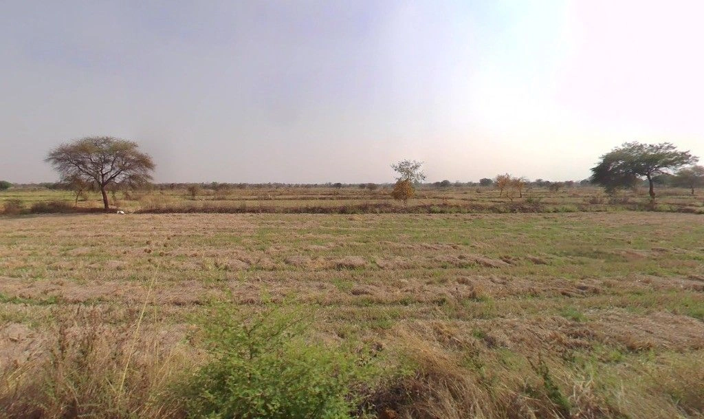 Chicholi, Chhattisgarh 493116, India