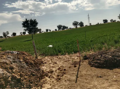 Lunkaransar, Rajasthan 334603, India preview 2