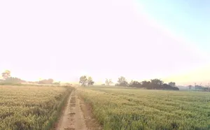 HRX7+2X Dohli, Rajasthan, India preview 2