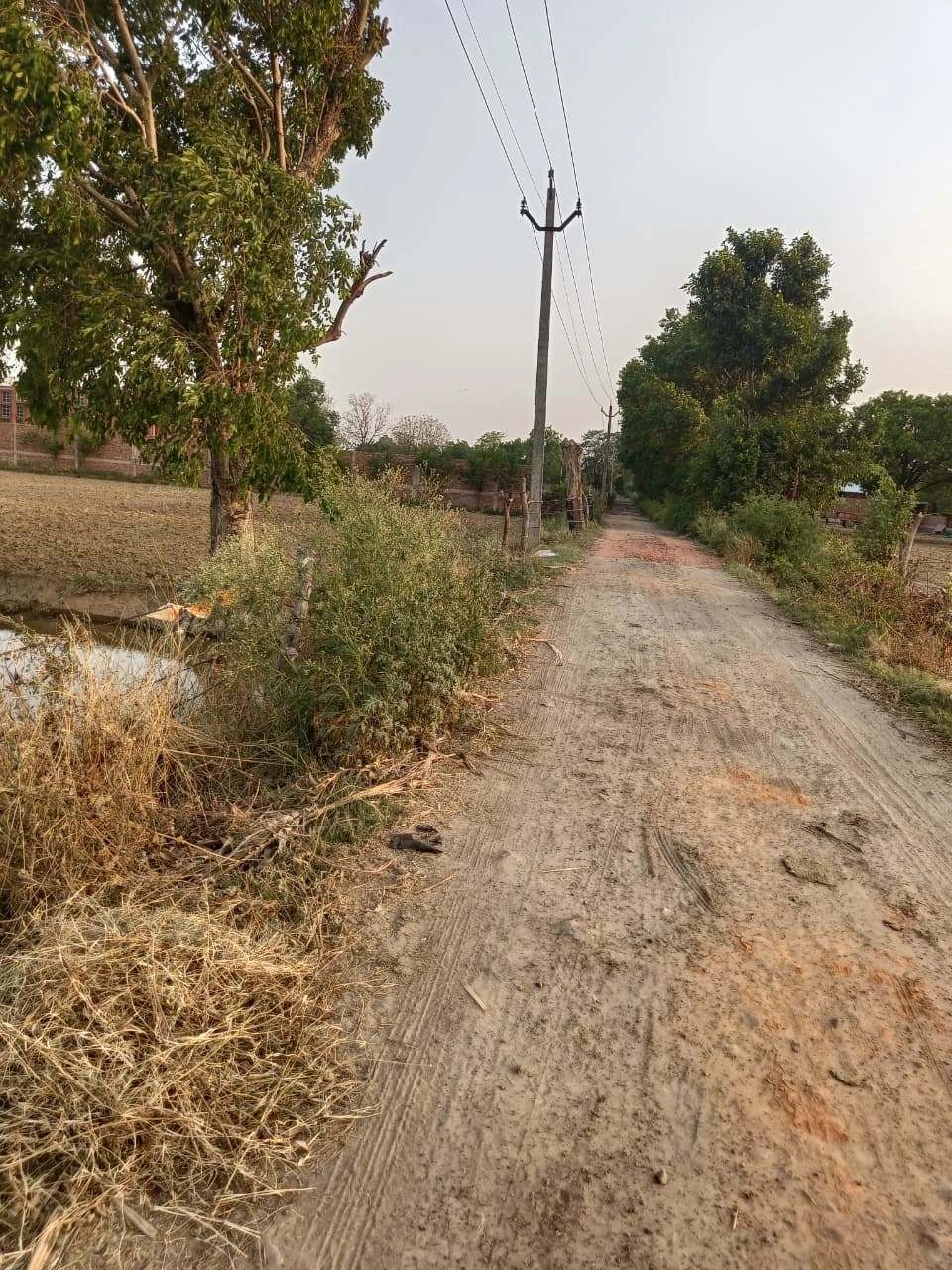 Chandauri, Uttar Pradesh, India