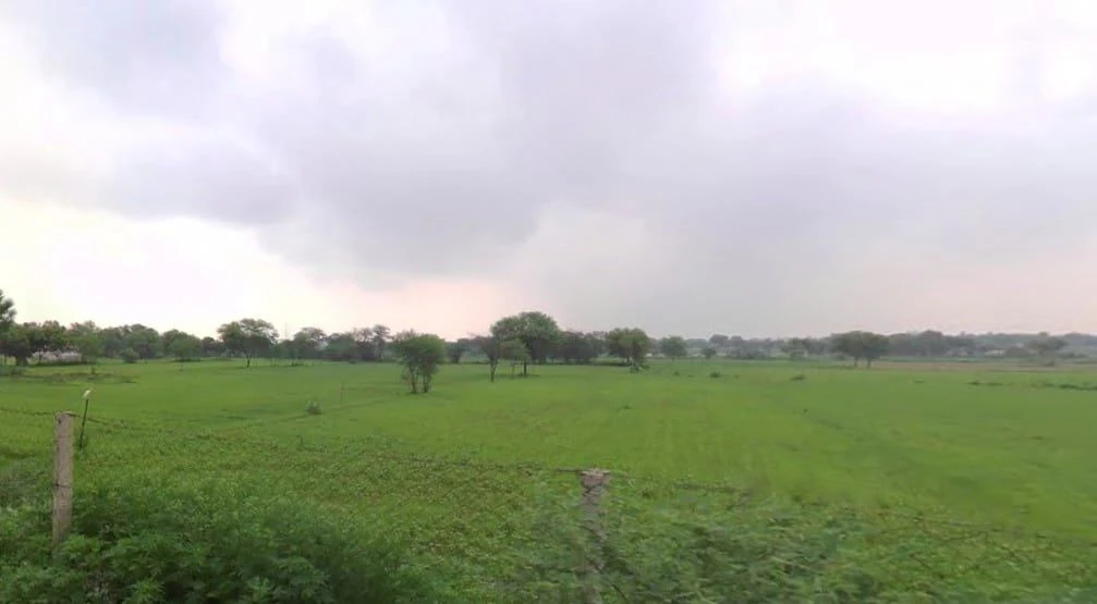 Pali, Rajasthan 306401, India