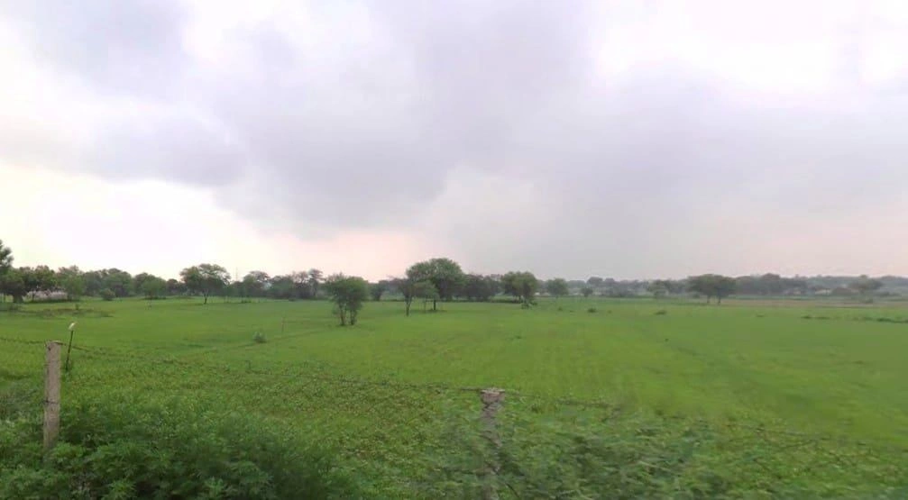 Pali, Rajasthan 306401, India