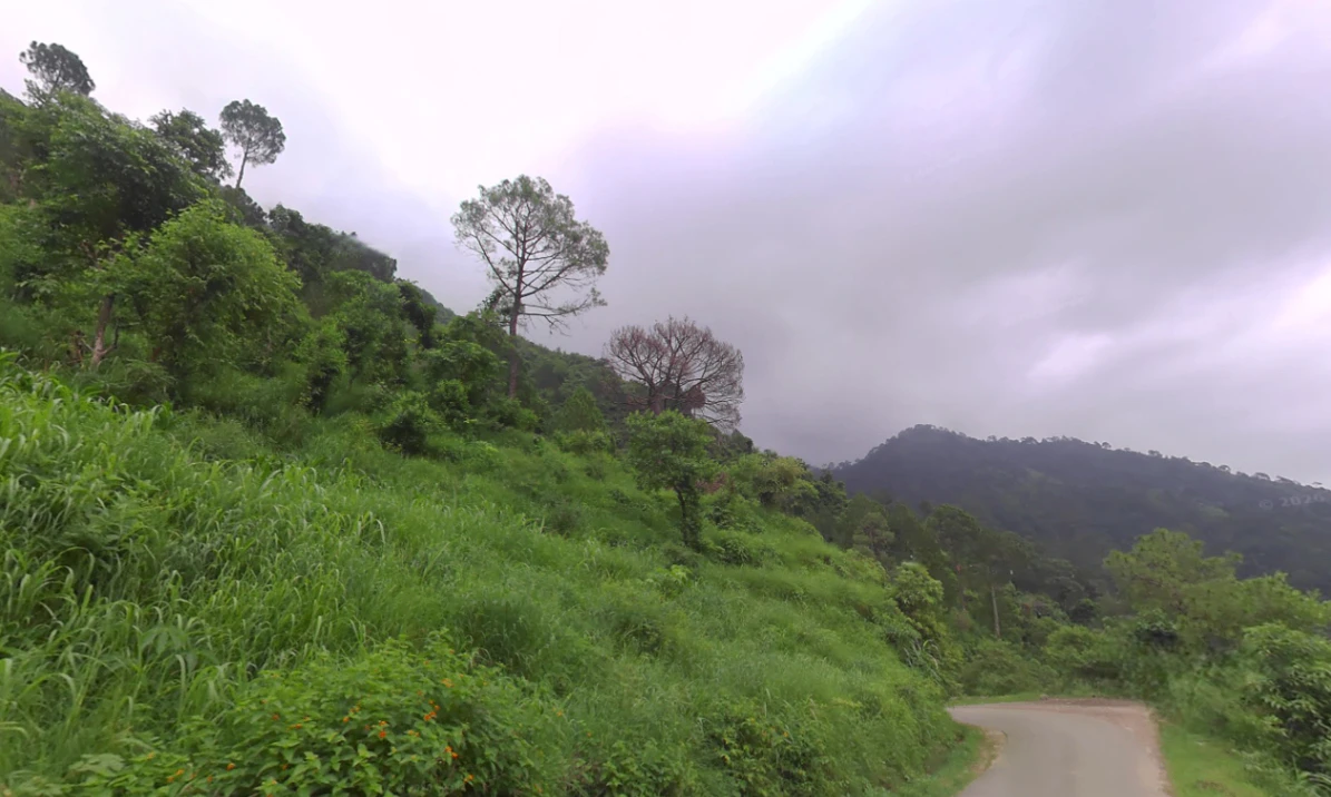 Dadahu, Himachal Pradesh 173022, India