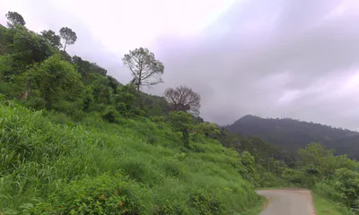 Dadahu, Himachal Pradesh 173022, India preview 2