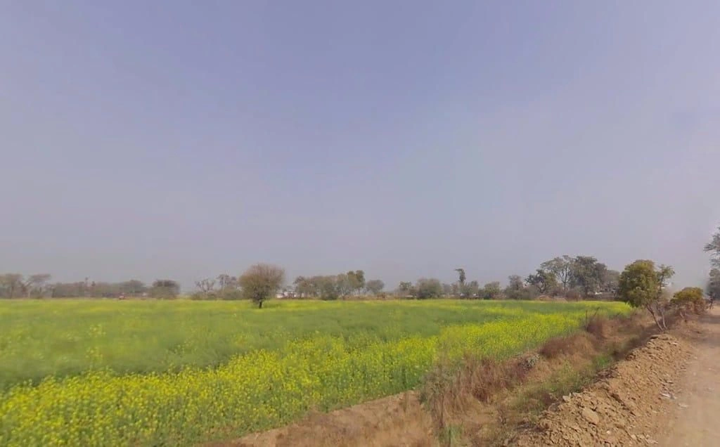 Laxmangarh, Rajasthan 321607, India