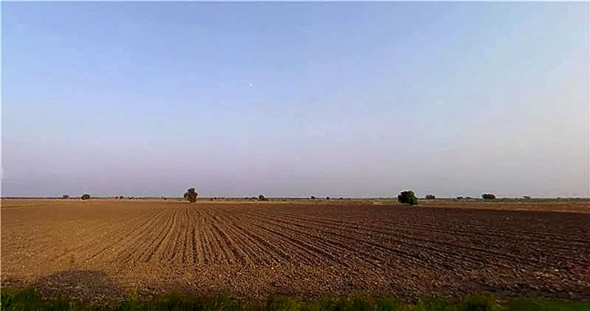 Vijapur, Gujarat, India