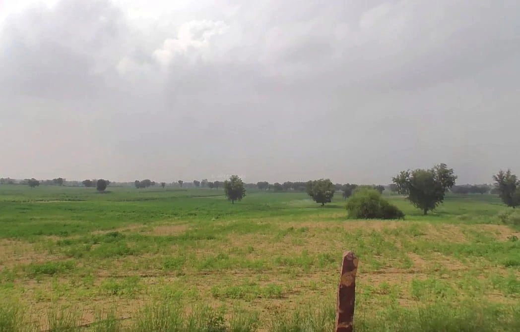 WVM8+576, Arjansar, Rajasthan 334604, India