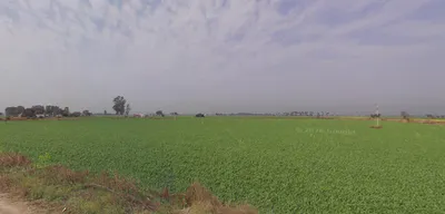 Handiaya, Punjab, India preview 2