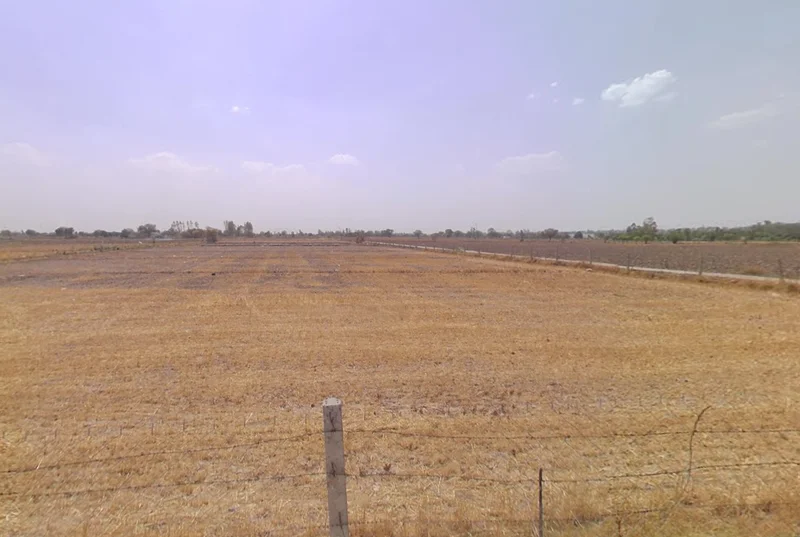 Hansi, Haryana 125033, India preview 2