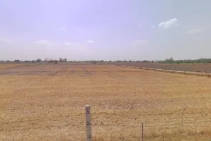 Hansi, Haryana 125033, India preview 2