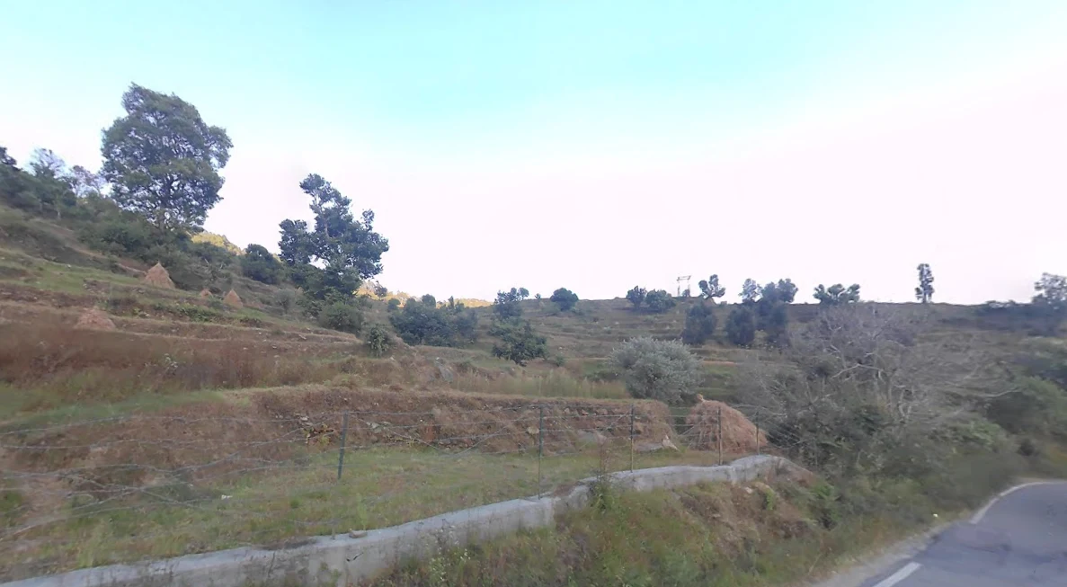 84PQ+RC8, Thewa, Dwara, Uttarakhand 249145, India